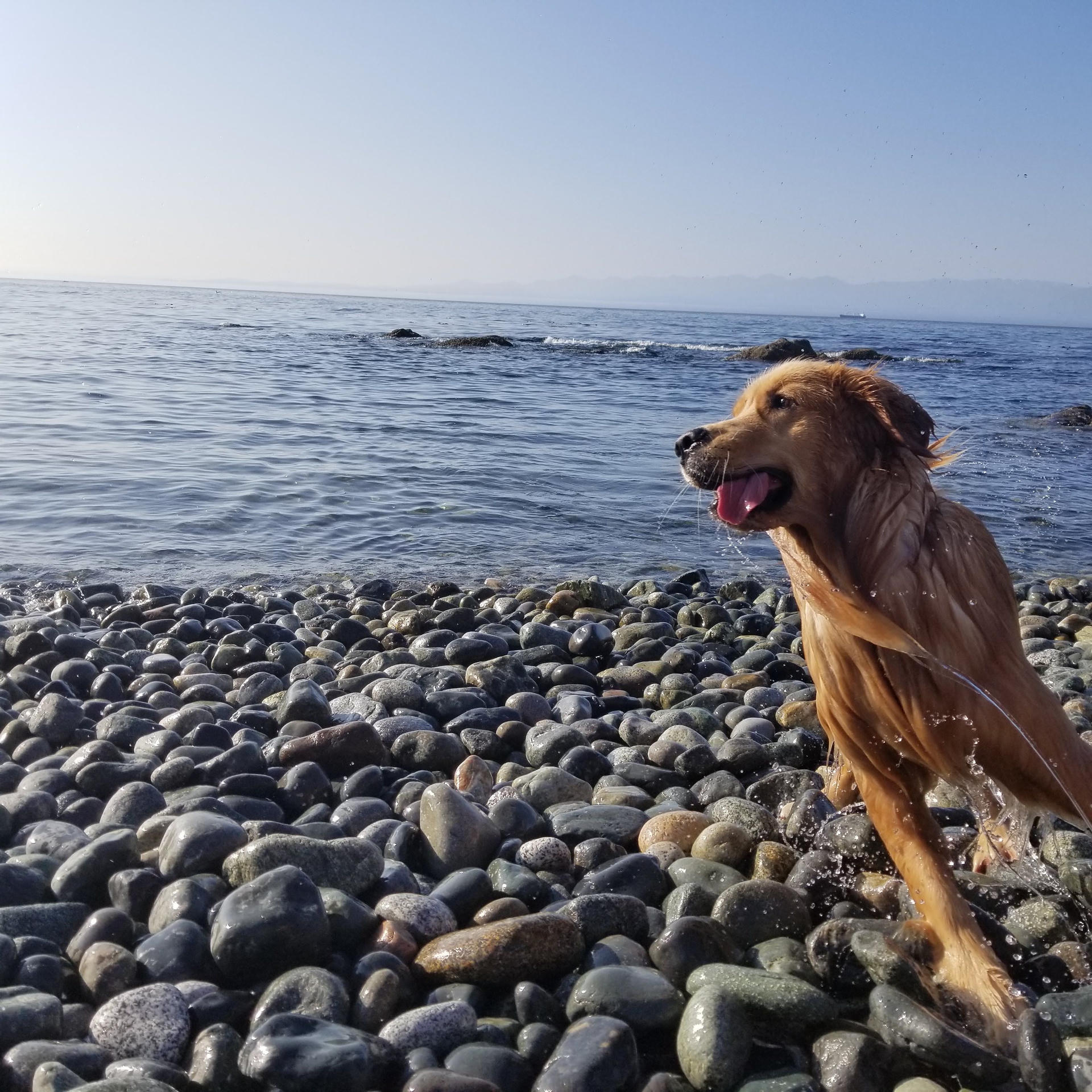 Nami at the beach.