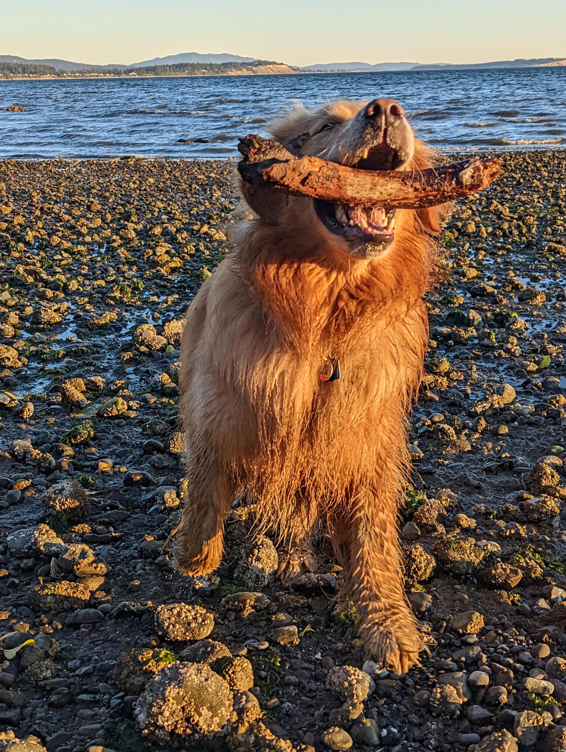 Nami with a stick.
