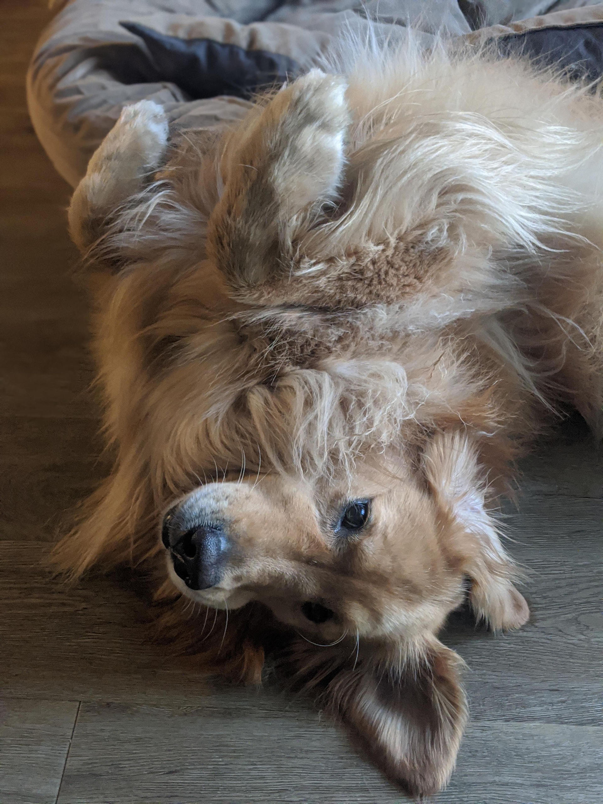 Nami lounging.