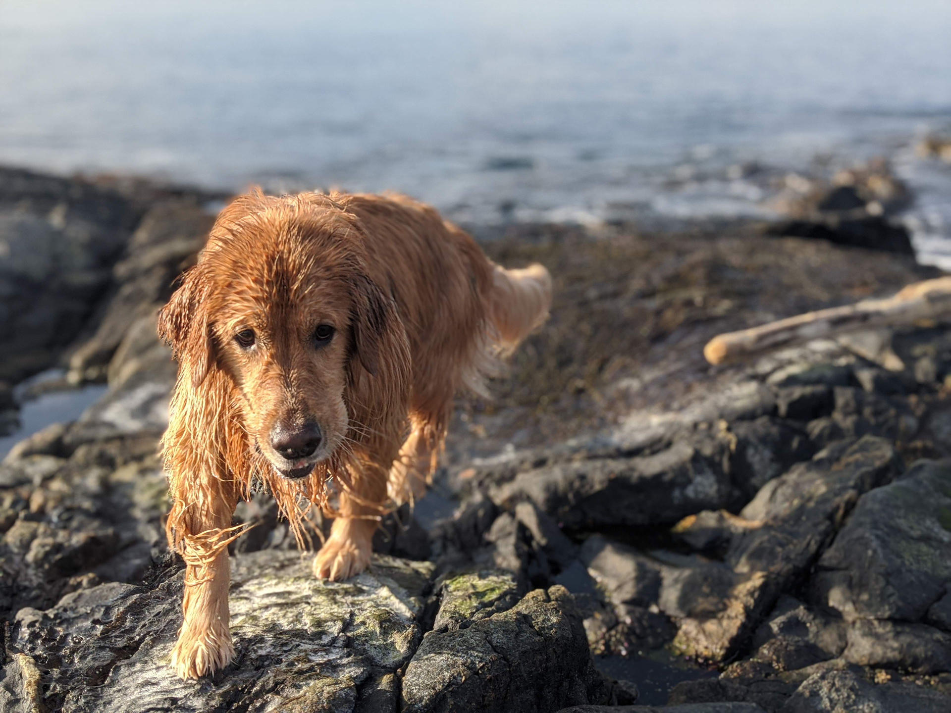 Nami at the beach.