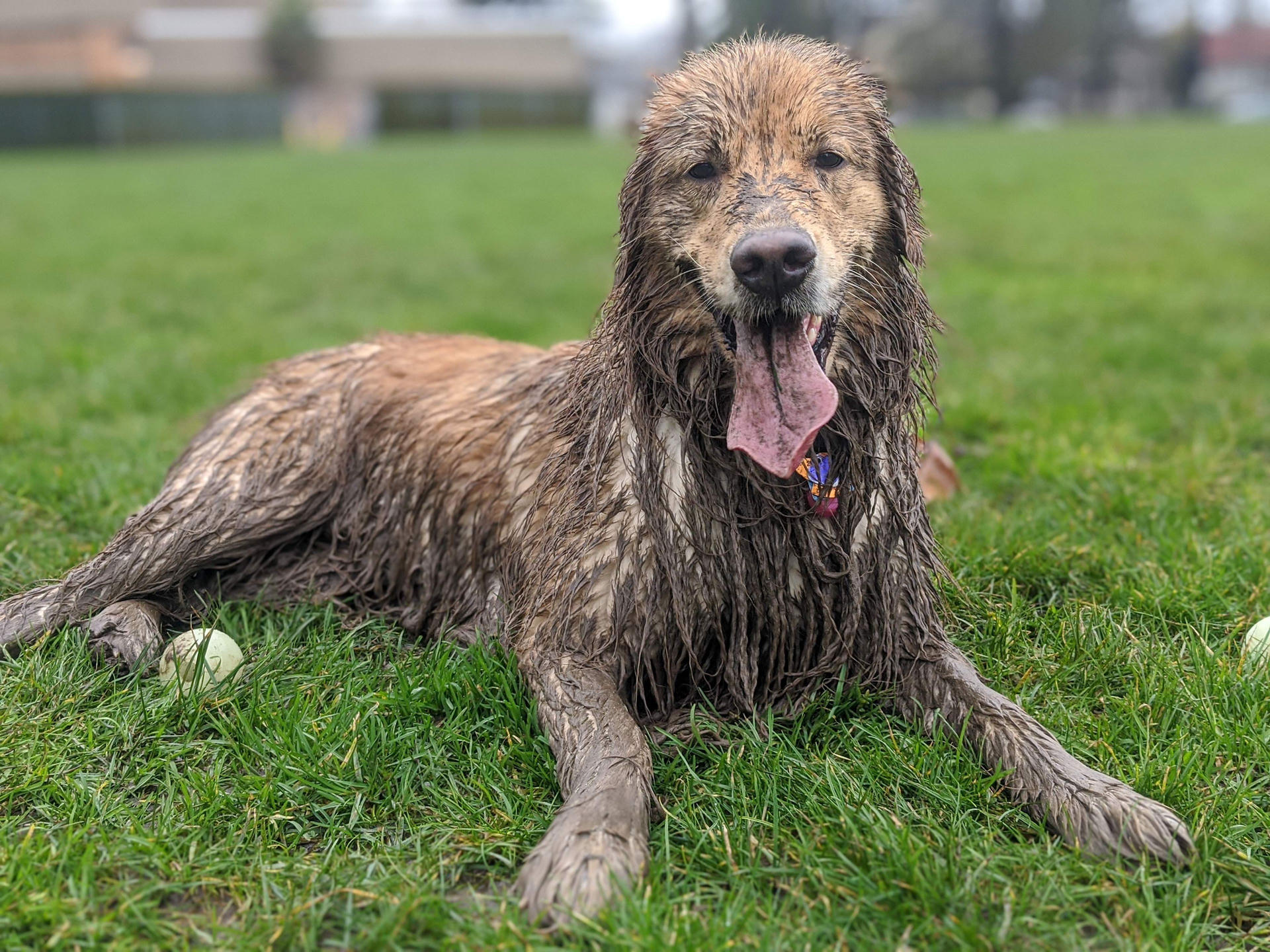 Nami muddy.