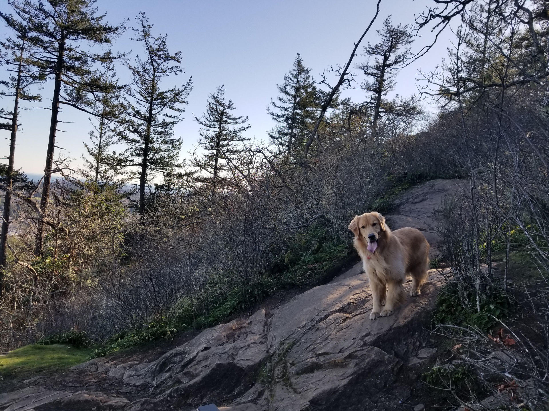 Nami at the mountain.