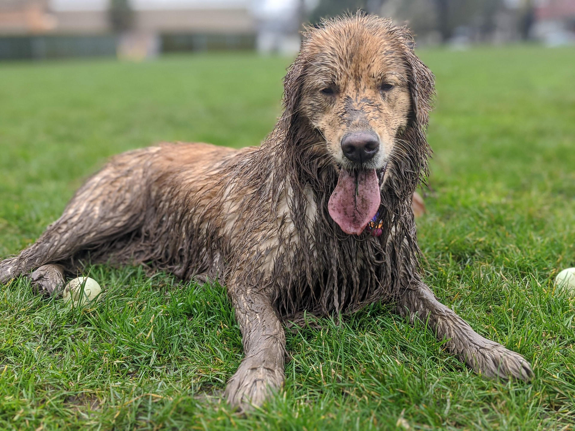 My successful (and muddy) friend, Nami.